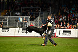 Pancho vom Marksbachtal