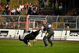 Pancho vom Marksbachtal