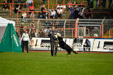 Pancho vom Marksbachtal