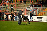 Hjuma von der Alten Donau