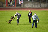 Checker vom Schwäbischen Land