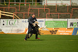 Glenn vom Schaffe