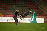 Glenn vom Schaffe