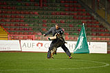 Glenn vom Schaffe