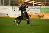 Glenn vom Schaffe