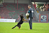 Fenris