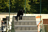 Apollo vom Schloß Solitude