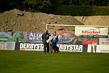 King vom Steinbusch
