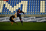 Hawax des Orckis de l'Adret