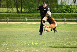 Nexor vom Brunsbeker Land