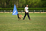 Nexor vom Brunsbeker Land
