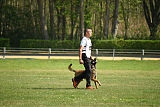 Nexor vom Brunsbeker Land