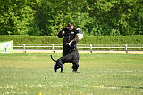 X-Fenris von Grobis Meute