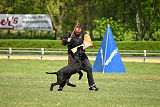 X-Fenris von Grobis Meute
