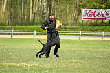 X-Fenris von Grobis Meute