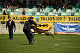 Atas of Hungarian Working Dogs