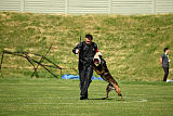 Atas of Hungarian Working Dogs