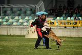 Aramis Red Devils Dog