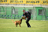 Waild Marinchuk K-9