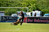 Arjen ex mera passio