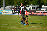 working-dog Bradana
