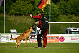Baxx vom roten Drachen