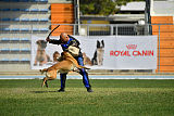 Vyatkins' Guard