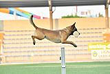 Avonwolf Al Capone Keith