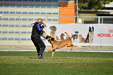 Largo Farsal