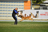 Largo Farsal