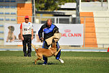 Largo Farsal