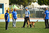 Erja-Ella Marshall Dogs