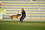 Baxter Ostraryka