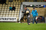 Sid vom Team bösen Bruderblick