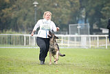 Bushido von Hund und Sport
