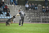 Bushido von Hund und Sport