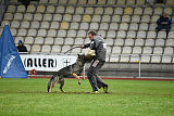 Bushido von Hund und Sport