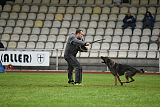 Bushido von Hund und Sport