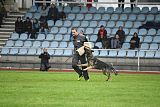 Bushido von Hund und Sport