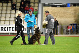 Perro von der schwarzen Natter