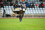 Perro von der schwarzen Natter