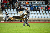 Perro von der schwarzen Natter