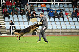 Perro von der schwarzen Natter