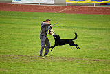 Max vom Mochauer Land