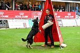 Ecko von Daechsel