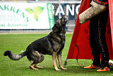 Raisers Fanto
