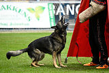 Raisers Fanto