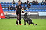 King of Asso