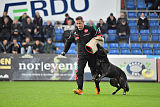 King of Asso