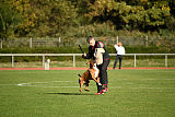 Corleone von den Strong Boxern